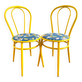 Pair of upcycled vintage chairs - blue rousseau flower