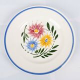 Lot of 7 plates Sarreguemines, model rustic. French Antique