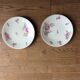 Lot de 2 assiettes raynaud limoges