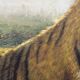 Oil on canvas, resting tiger