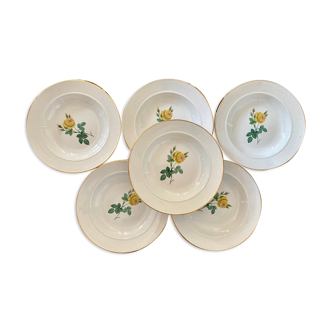 Set of 6 vintage hollow plates