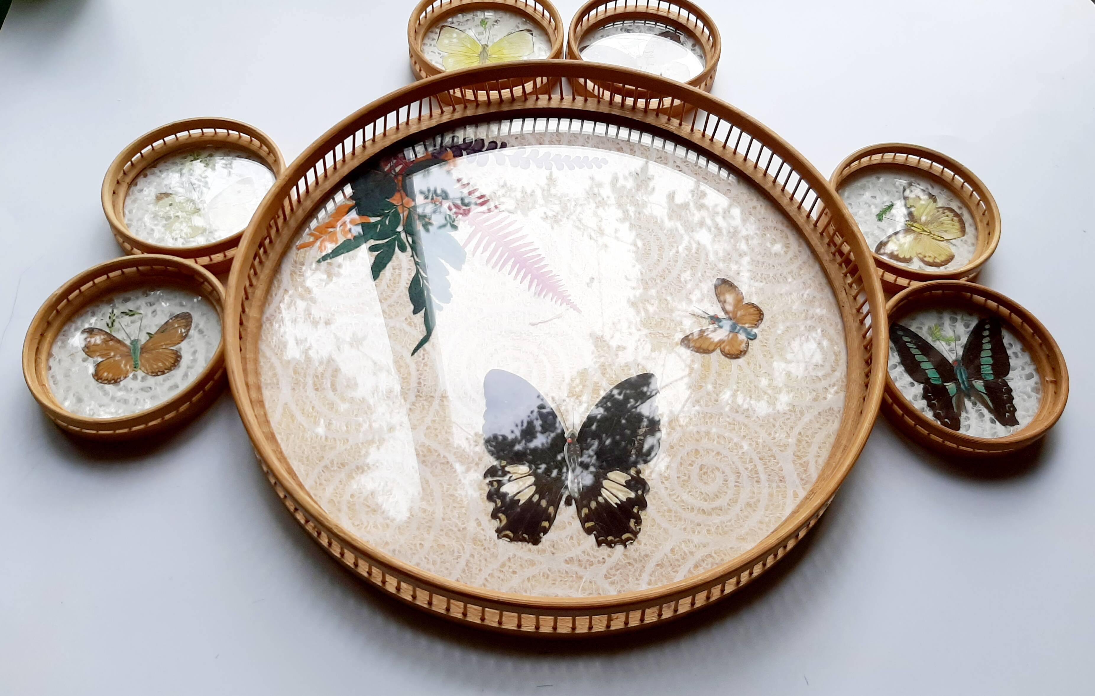 Butterfly tray and 6 coasters