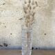 Vintage Cristal d'Arques vase in frosted glass
