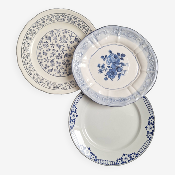 Grandes assiettes vintages bleues