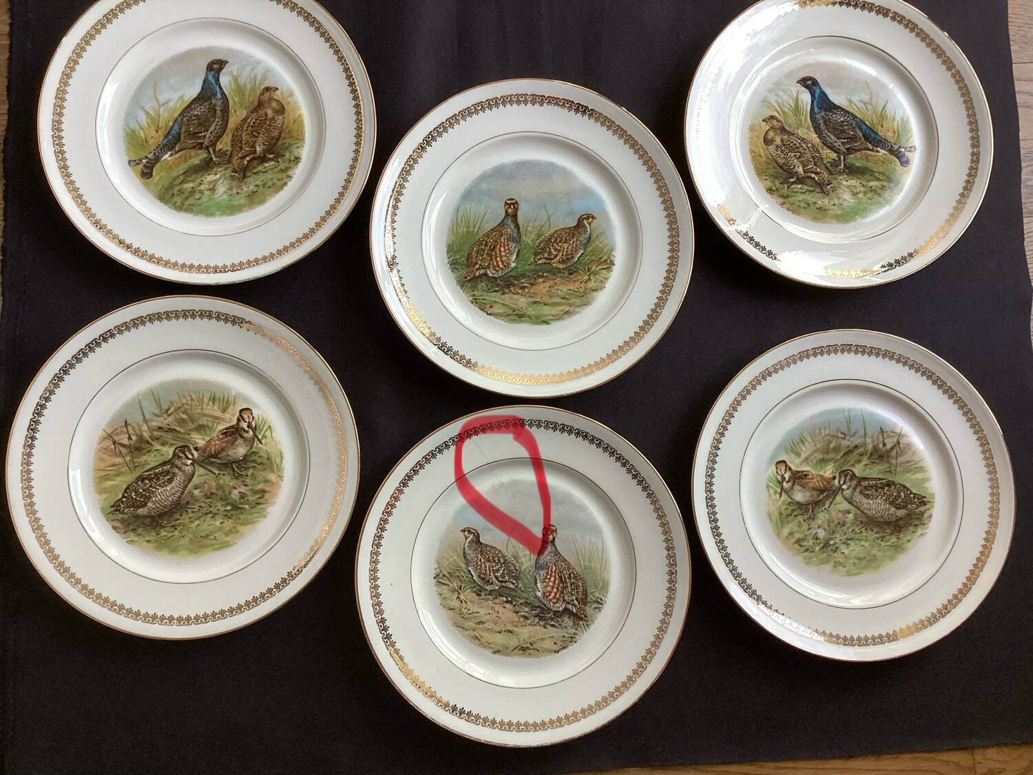 Flat plates PL Emaux Limoges Fafrique Mehun