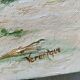 Oil painting on canvas signed seascape