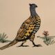 Gien hunting dish decorated with pheasant and duck, 1970