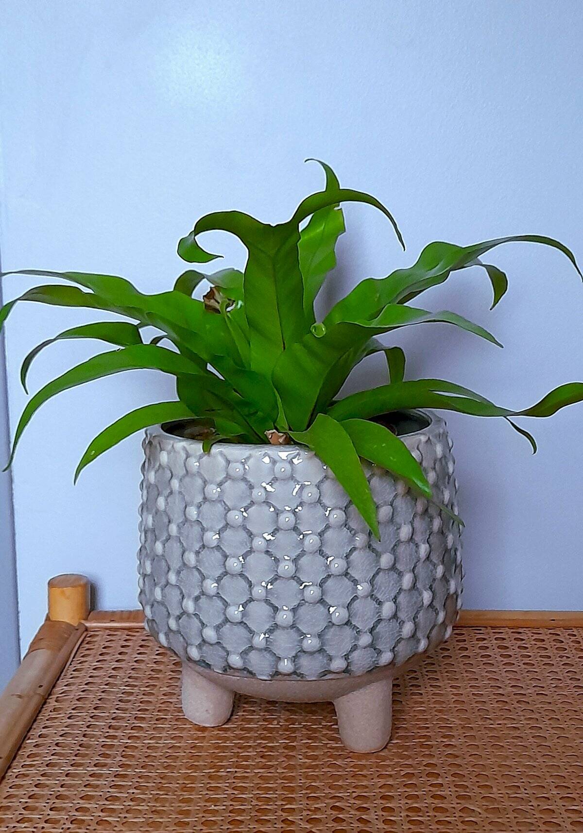 Tripod ceramic cache pot