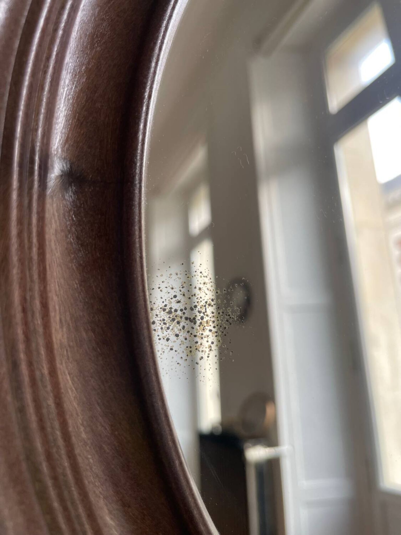 Syla vintage oval mirror
