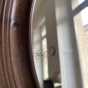 Syla vintage oval mirror