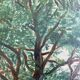 Painting old painting 1946 Lamy Vacances Haute Garonne