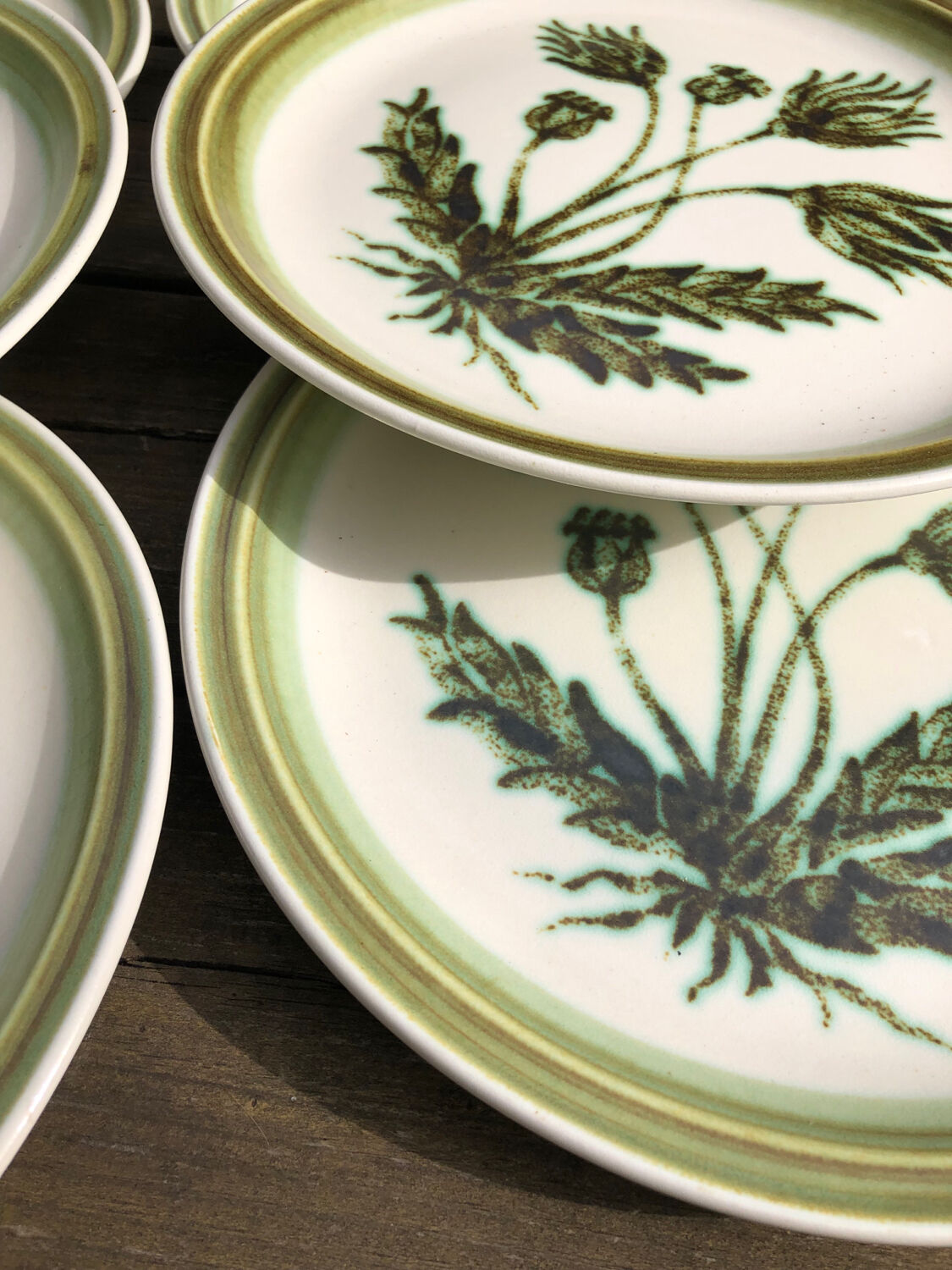Gien enameled stoneware dinner plates “Herbariums”