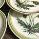 Assiettes plates grès émaillé Gien  «Herbiers»