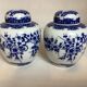 Paire de vases fleurs bleues