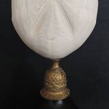 Cabinet of Curiosities sea urchin heart metalia sternalis on base