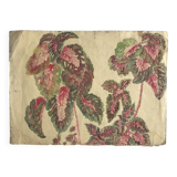 Solenostermon (Coleus Blumei), 1950s. Watercolor on paper