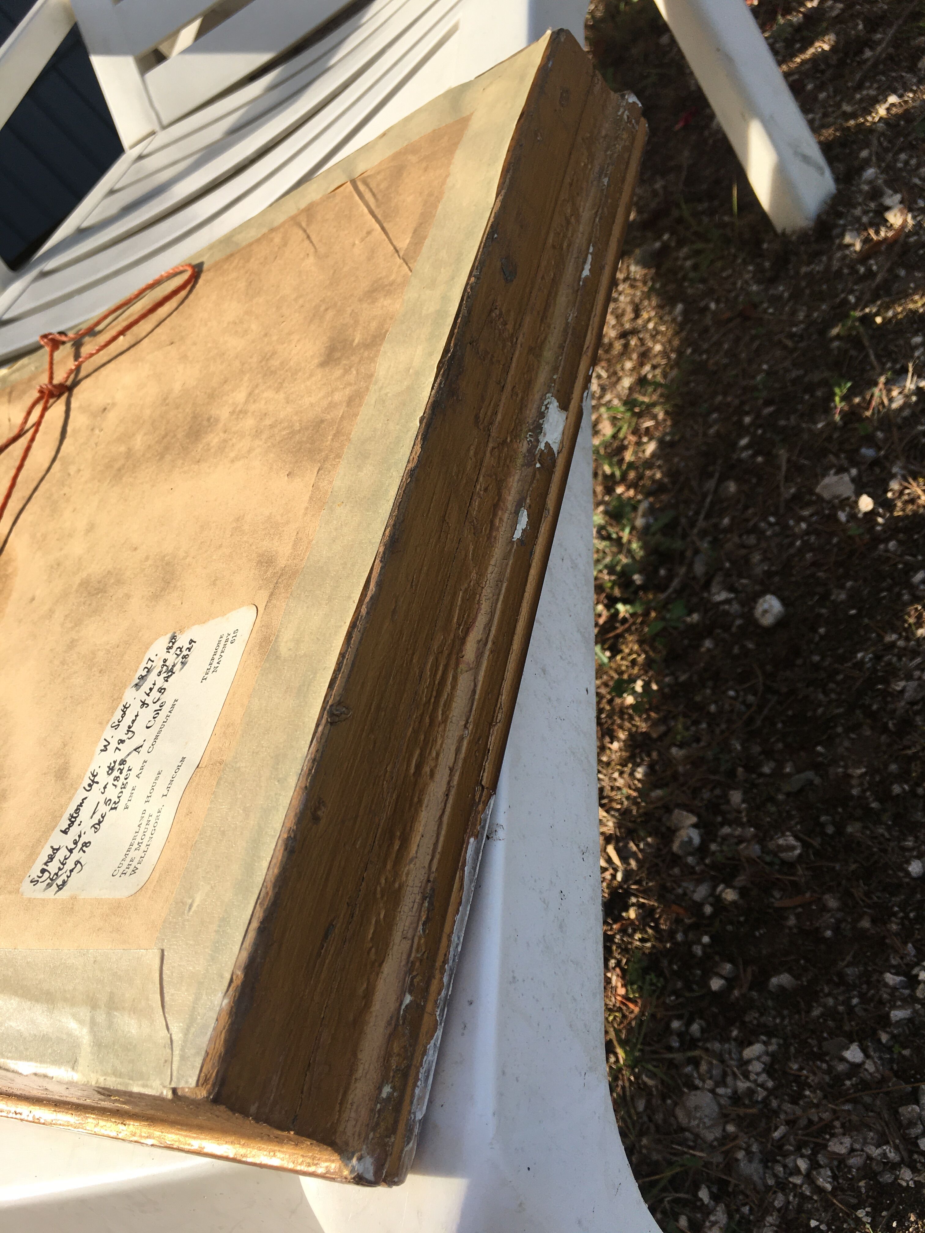 Portrait of Lady English Bourgeoise