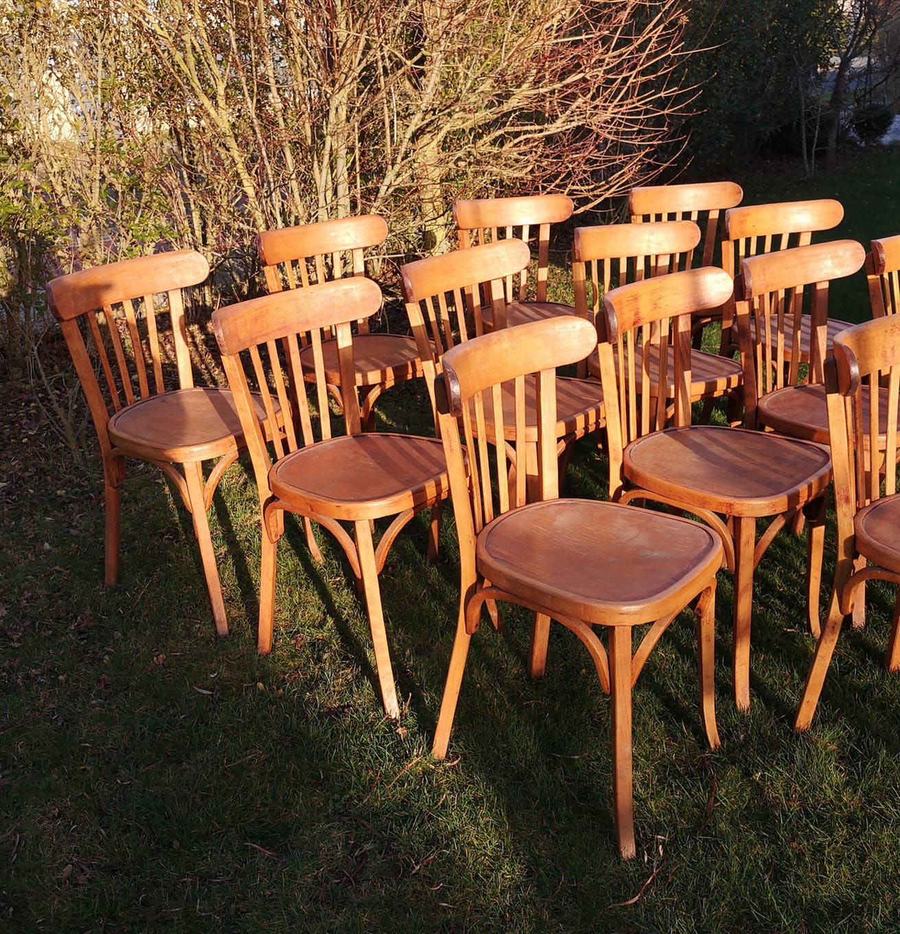 Set of 8 chairs Bistro Baumann