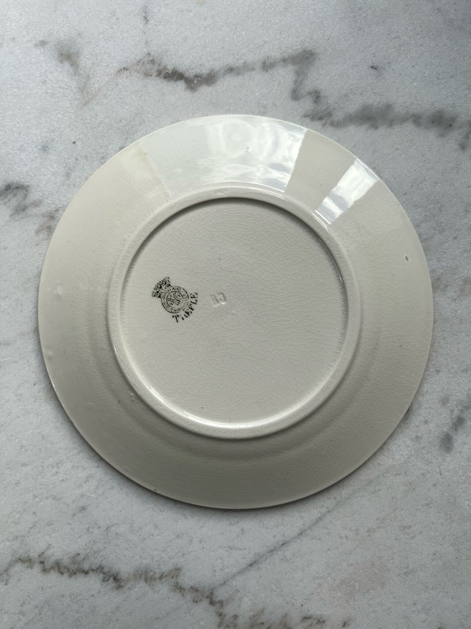 Set of 10 plates Terre de Fer, Model Clover - Badonviller