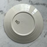 Set of 10 plates Terre de Fer, Model Clover - Badonviller