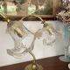 Lampe col de cygne tulipe Murano