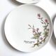 Lot de 6 assiettes à dessert de Bavière mobil décor fleurs roses