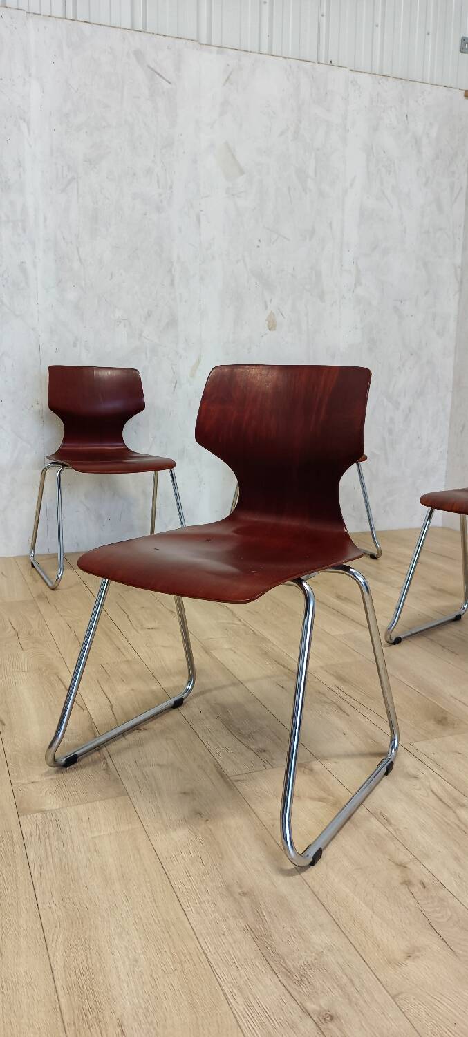 4 Pagholz chairs