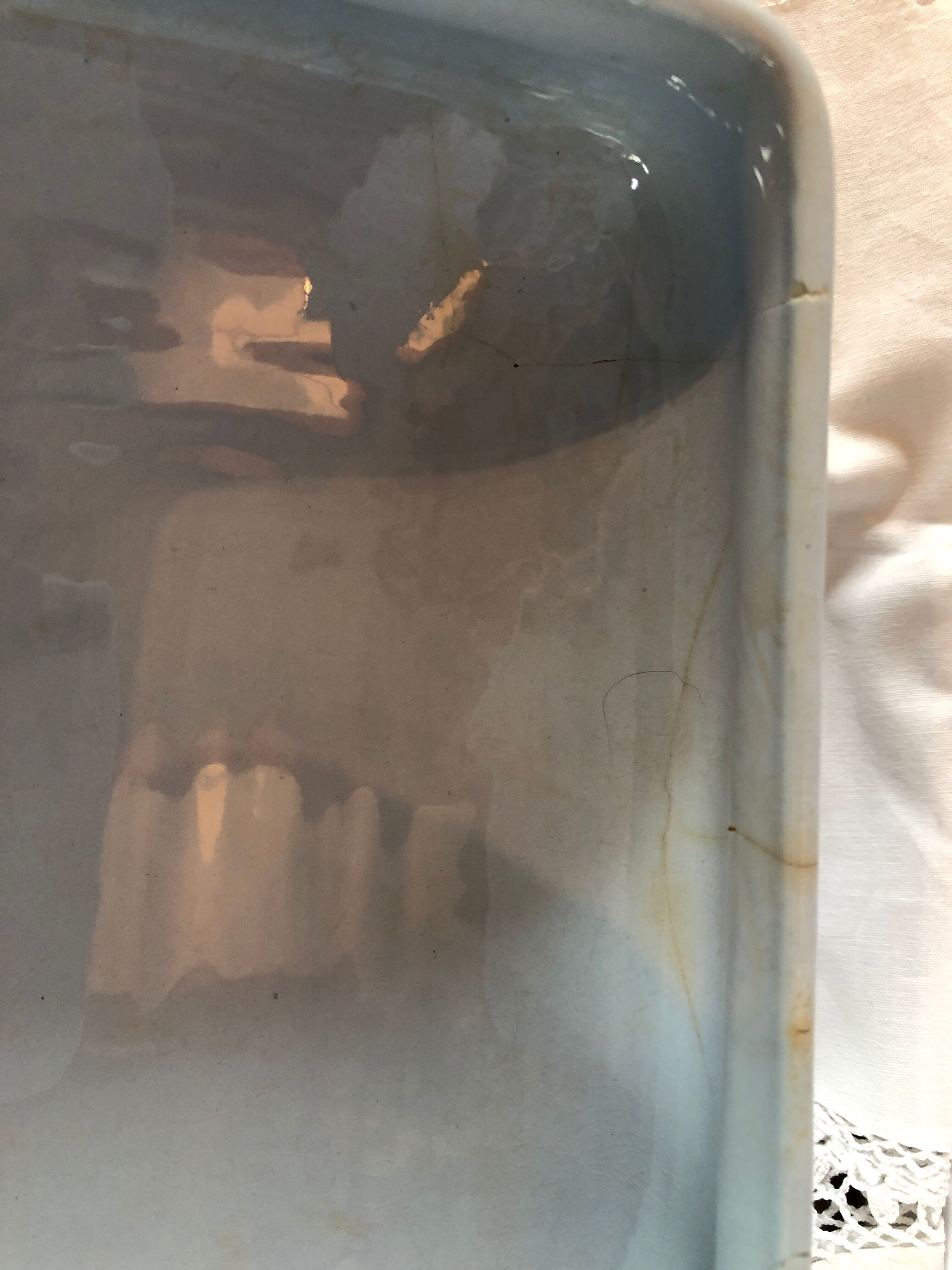 Blue vegetable in iron Earth