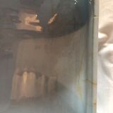 Blue vegetable in iron Earth