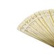 Art Nouveau Polish celluloid fan, 1900s