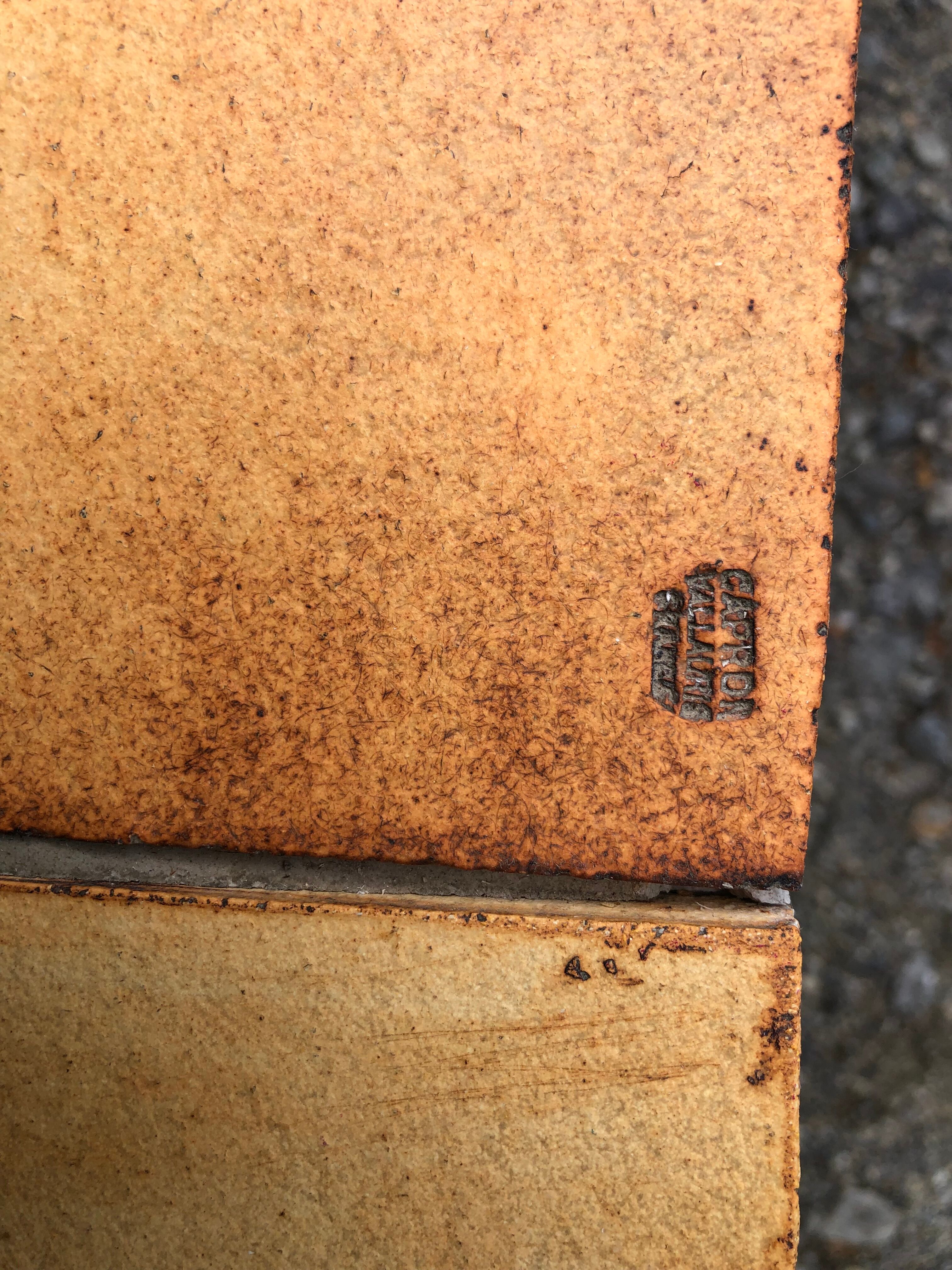 Vintage ceramic coffee table decorated with herbarium decoration Roger Capron