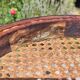 5 chaises Thonet n°14 de 1875