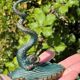 Antique candlestick base – stylised marine fish in patinated bronze
