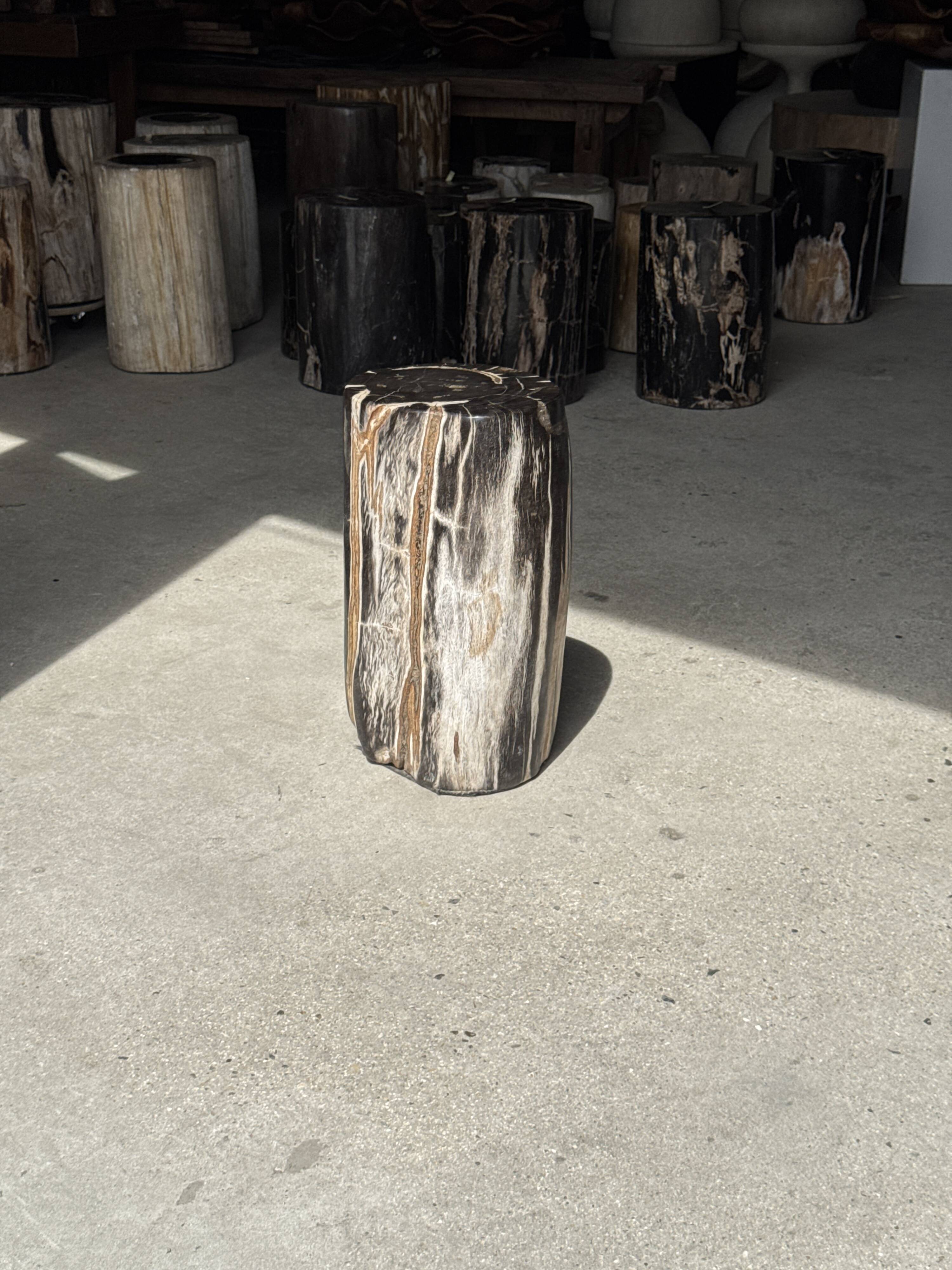 Table d'appoint en bois pétrifié noir