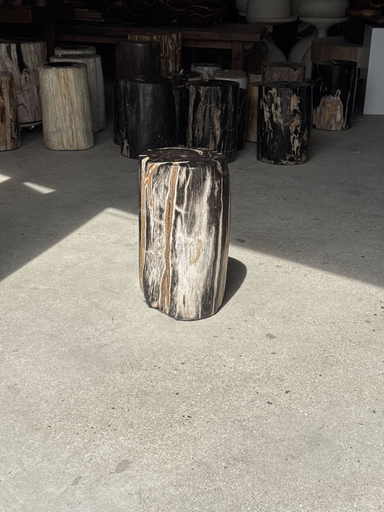 Black petrified wood side table with white and beige stripes H40 D23 - 3