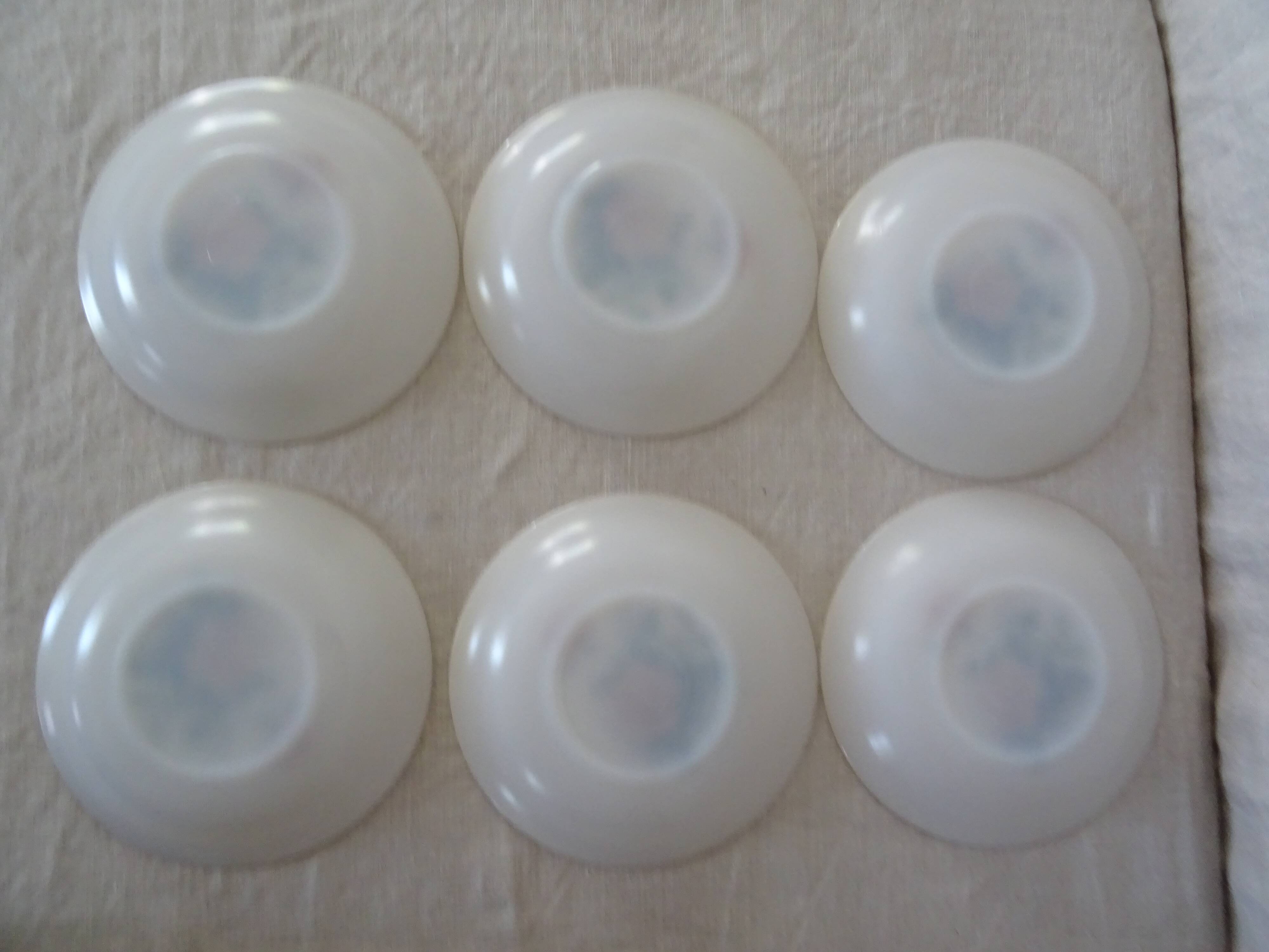 6 plates roses from France flowers hollow Arcopal