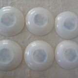 6 plates roses from France flowers hollow Arcopal