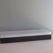 Rectangular ceiling or wall light by Van Haute Belgique, 1960s
