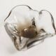 Cendrier murano carré 1960 transparent et marron