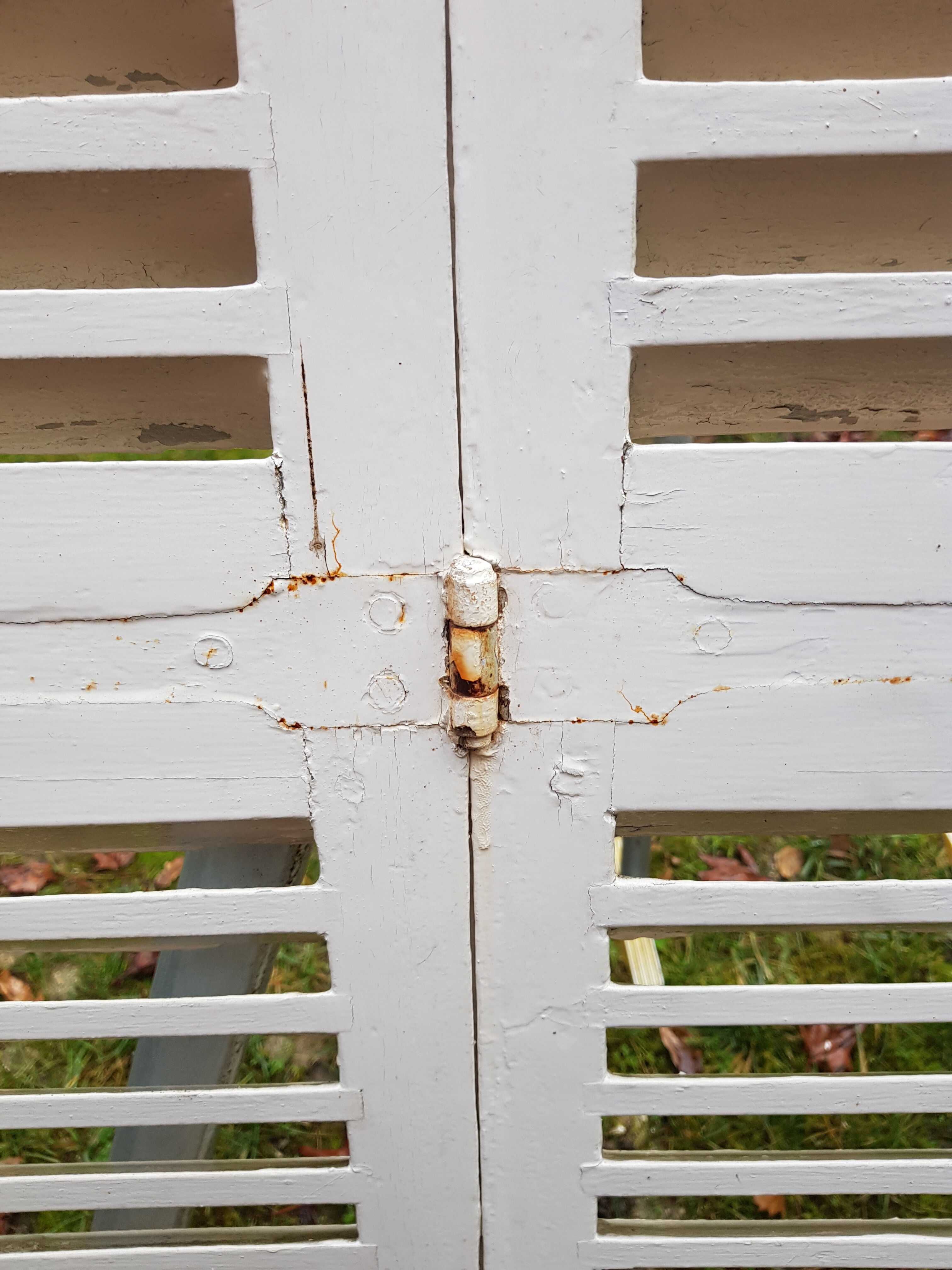 Pair of old shutters with louvers