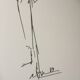 Christian Dior: pretty press fashion illustration - spring collection - summer 1984