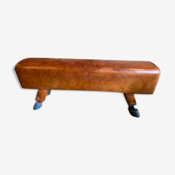 Pommel horse