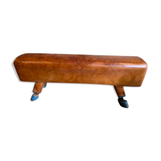 Pommel horse