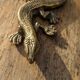 Lézard en bronze doré