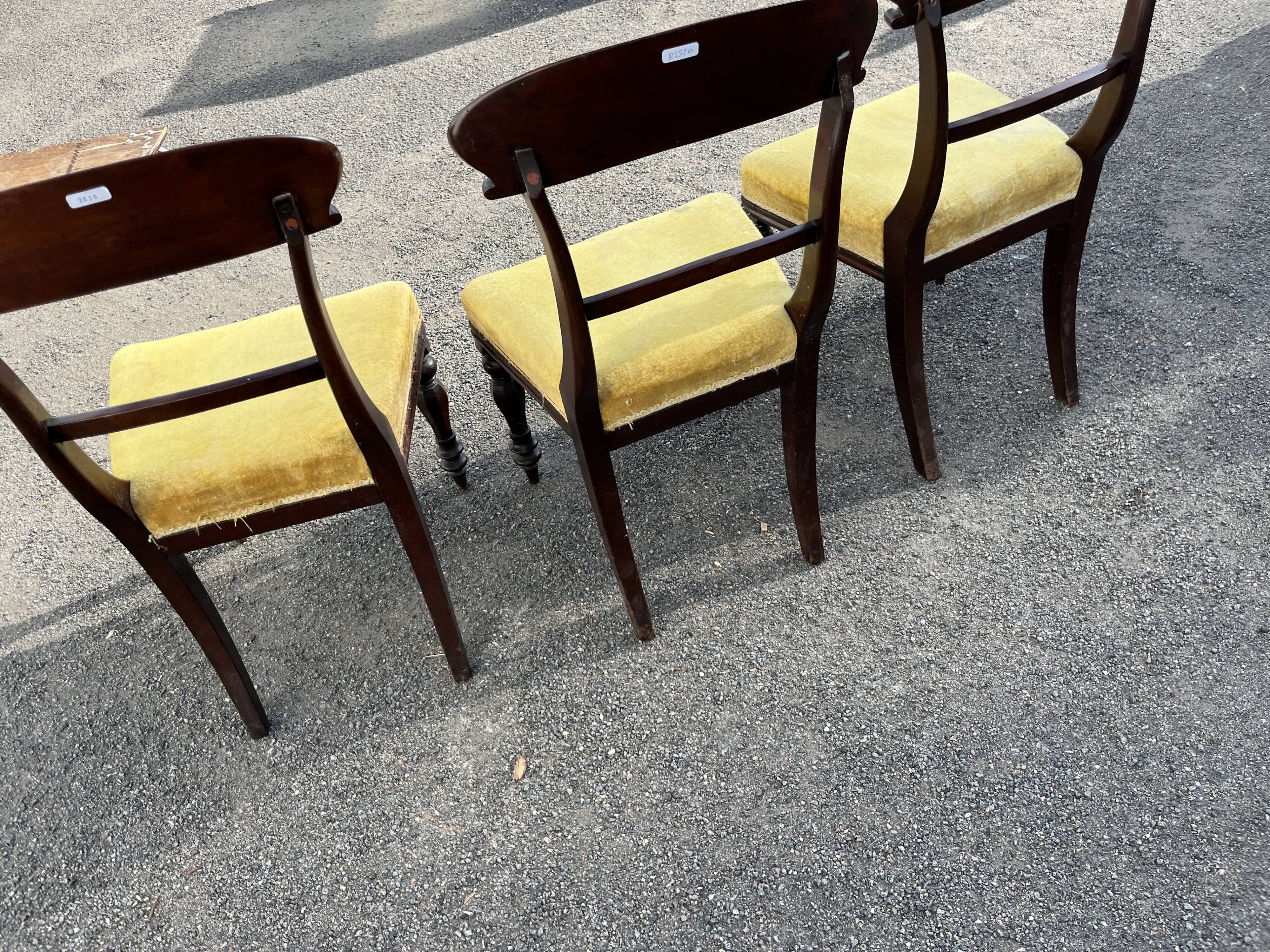 Lot de 3 chaises style victorien – acajou – assise velours jaune