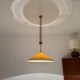 Large Adjustable Pendant Lamp with Counterweight by Florian Schulz