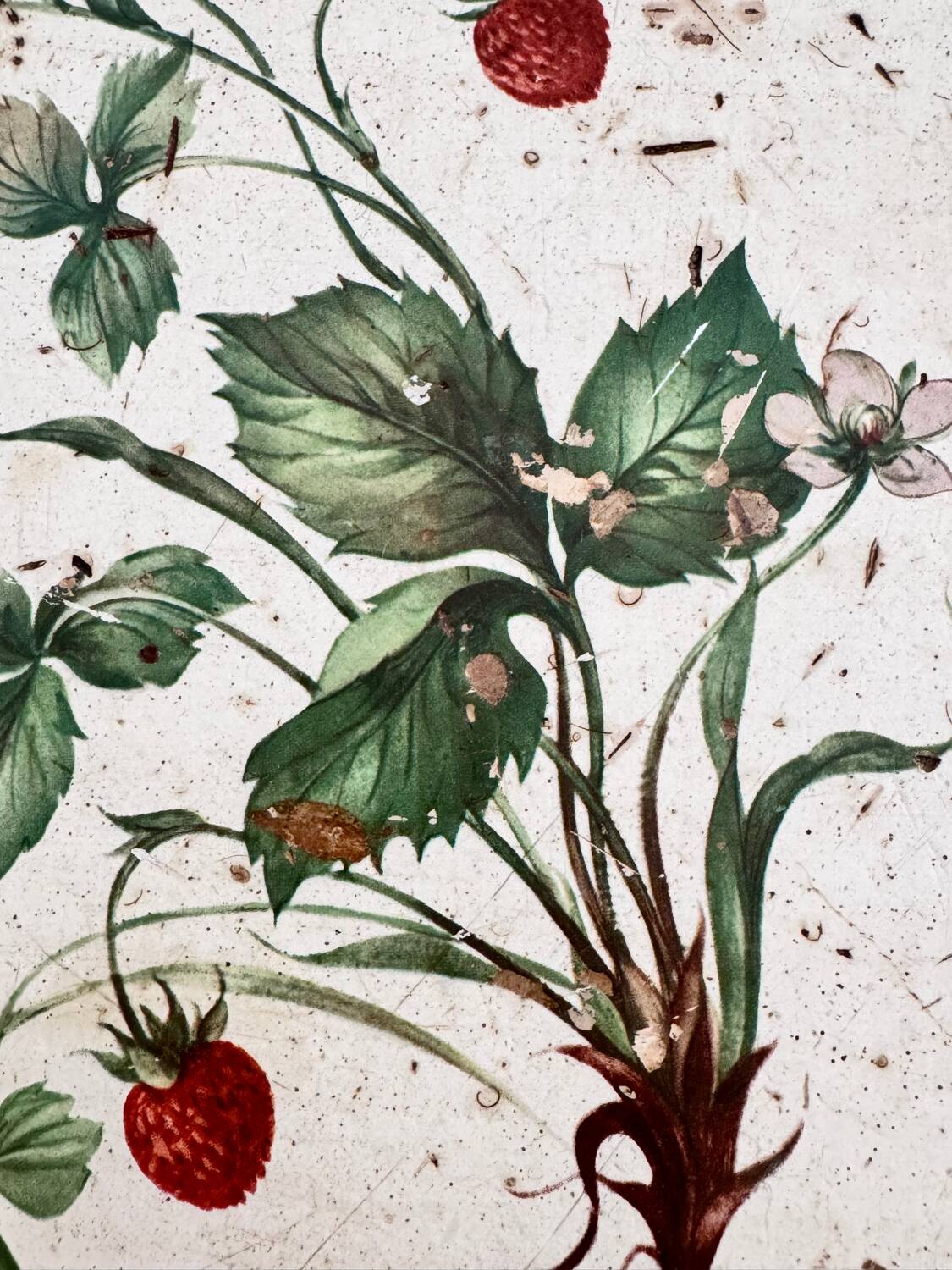 Ancien plateau en bois