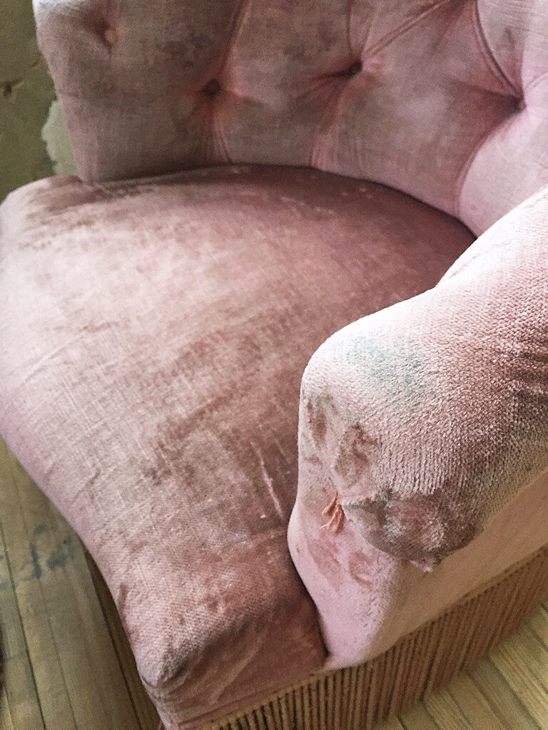 Armchairs pink captionne toad