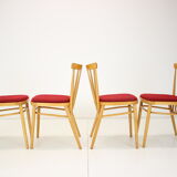 Set of four dining chairs/Tatra Pravenec, 1970's.