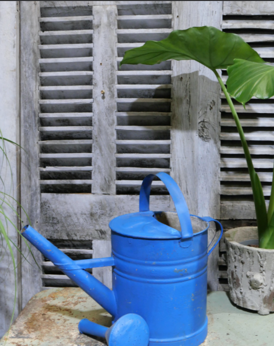 Blue zinc watering can
